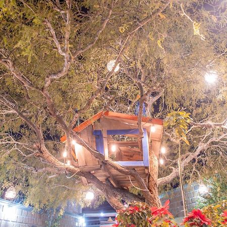 Hotel Casa Del Arbol แบร์นัล ภายนอก รูปภาพ