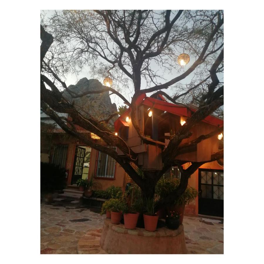 Hotel Casa Del Arbol แบร์นัล ภายนอก รูปภาพ