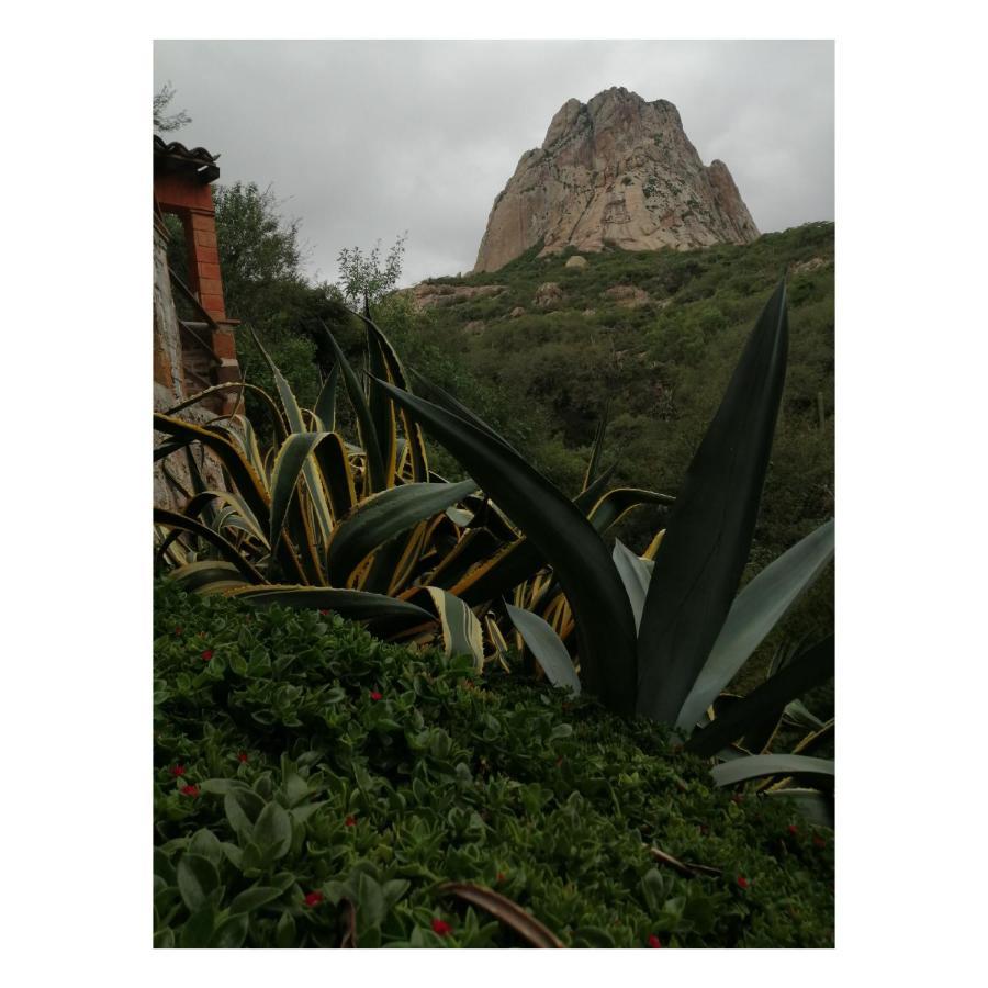 Hotel Casa Del Arbol แบร์นัล ภายนอก รูปภาพ