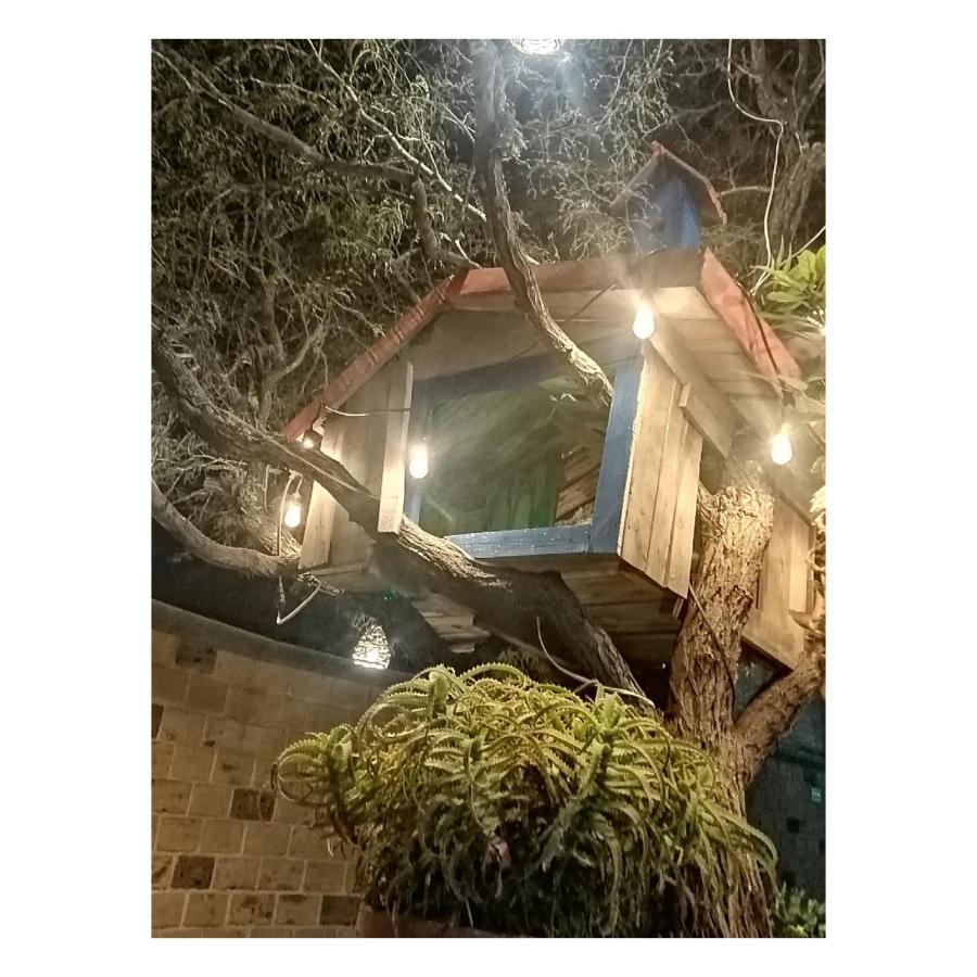 Hotel Casa Del Arbol แบร์นัล ภายนอก รูปภาพ