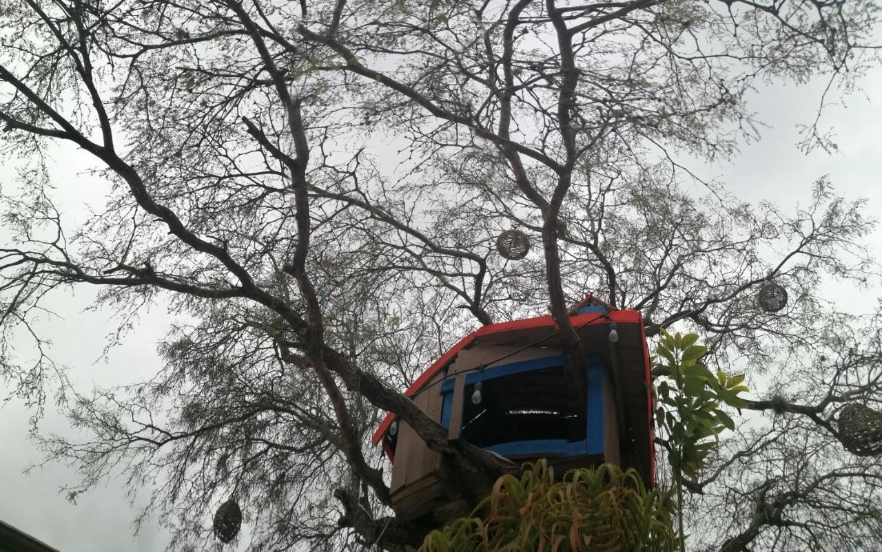 Hotel Casa Del Arbol แบร์นัล ภายนอก รูปภาพ